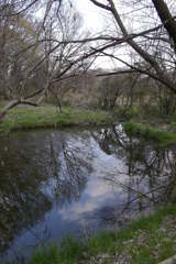 2016/03/26_北本自然観察公園