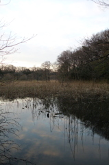 2016/03/26_北本自然観察公園