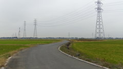 2013/11/09_カーブ