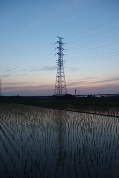 2016/06/18_水田の夕暮れ