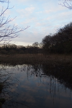 2016/03/26_北本自然観察公園