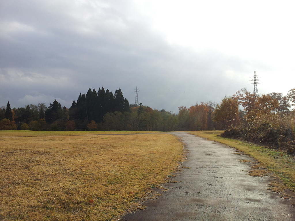 2016/11/13_三内丸山遺跡 ピクニック広場への道