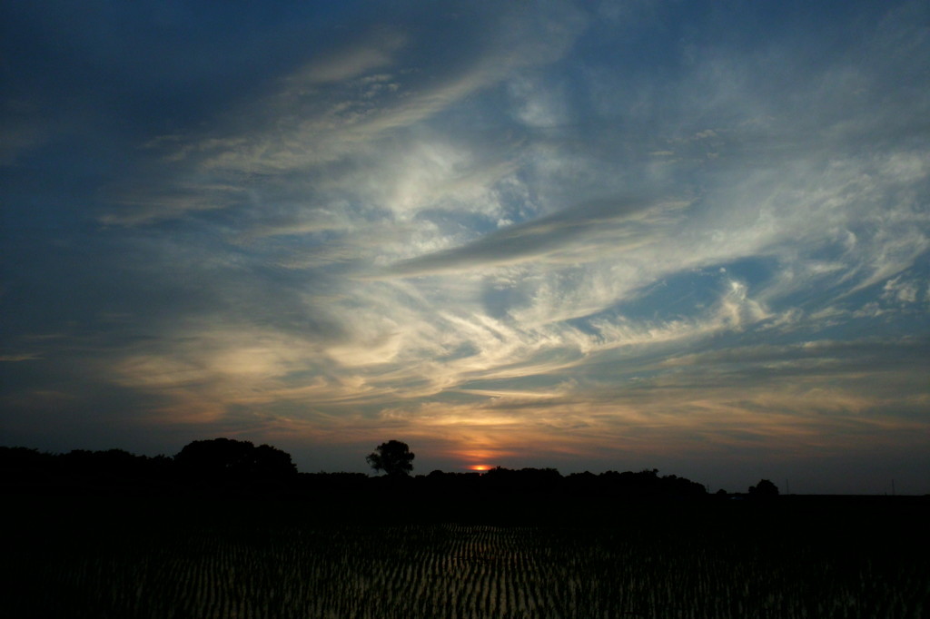 2014/07/12_夕暮れ