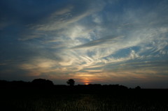 2014/07/12_夕暮れ