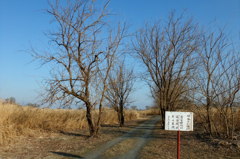 2014/02/23_旧谷中村遺跡への道