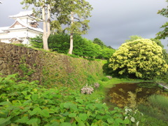 2016/05/12_金沢城公園