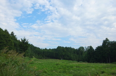 2014/08/02_野原・林・雲