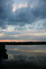 2016/06/26_水田の夕暮れ