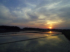 2017/05/21_水田の夕暮れ