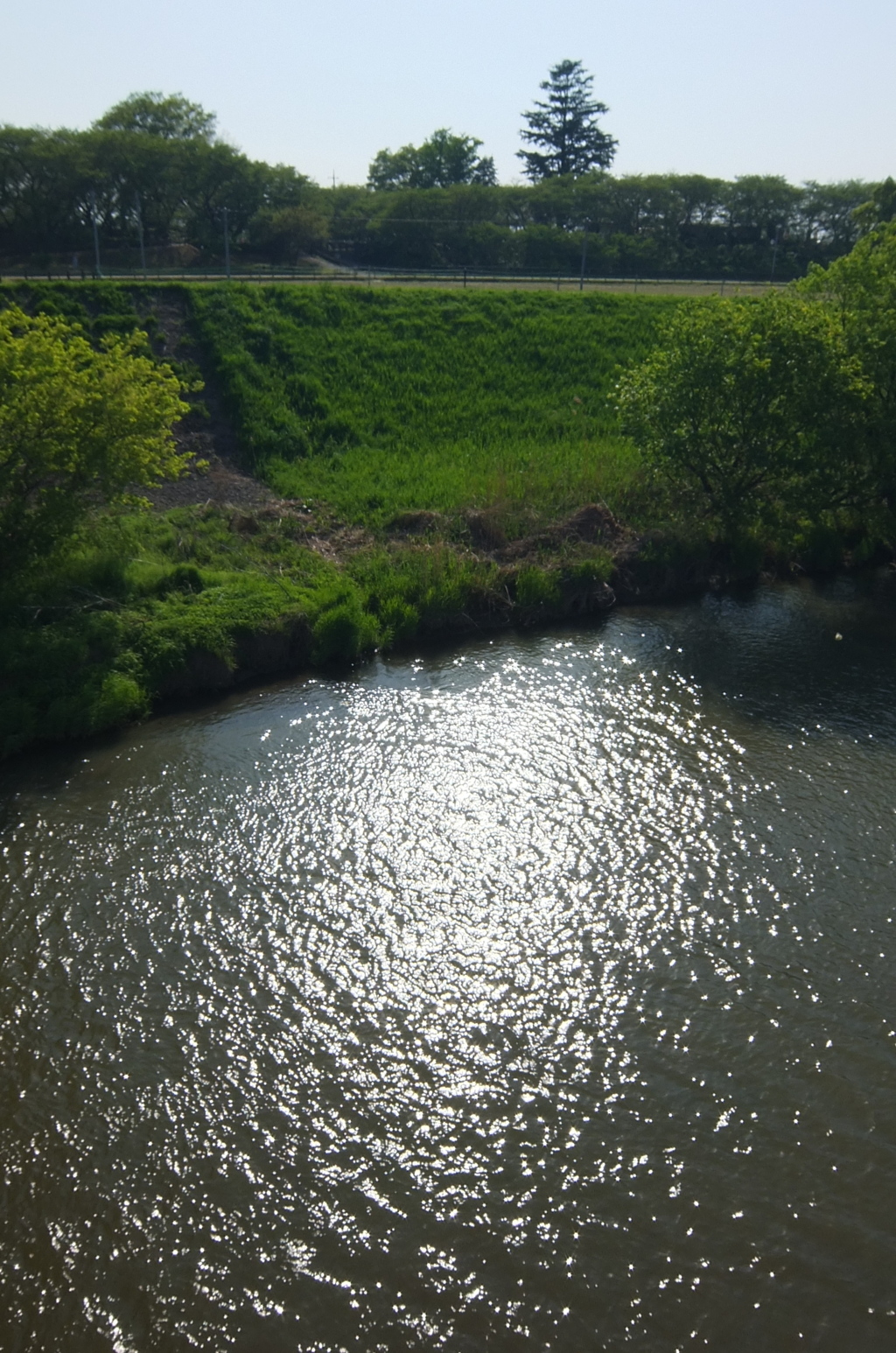 2015/04/26_光る中川
