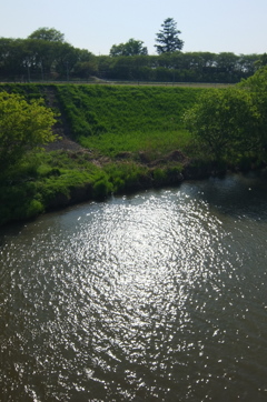 2015/04/26_光る中川