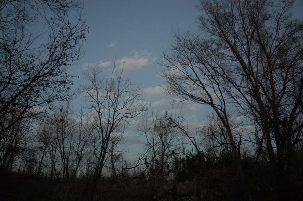 2016/01/10_夕空