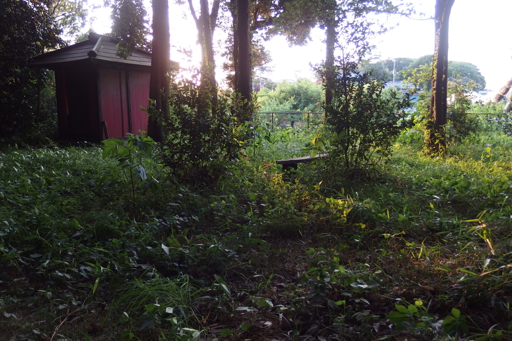 2015/05/10_夕暮れの辯才天堂