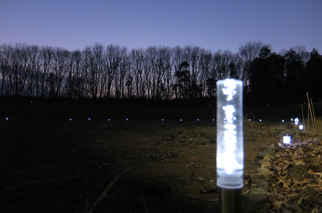 2014/01/18_夕暮れの木とソーラーライト