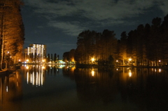 2014/12/07_夕暮れの別所沼公園