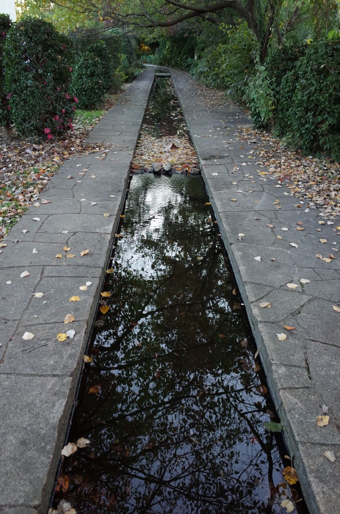 2014/11/15_鴨川みずべの里