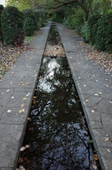 2014/11/15_鴨川みずべの里