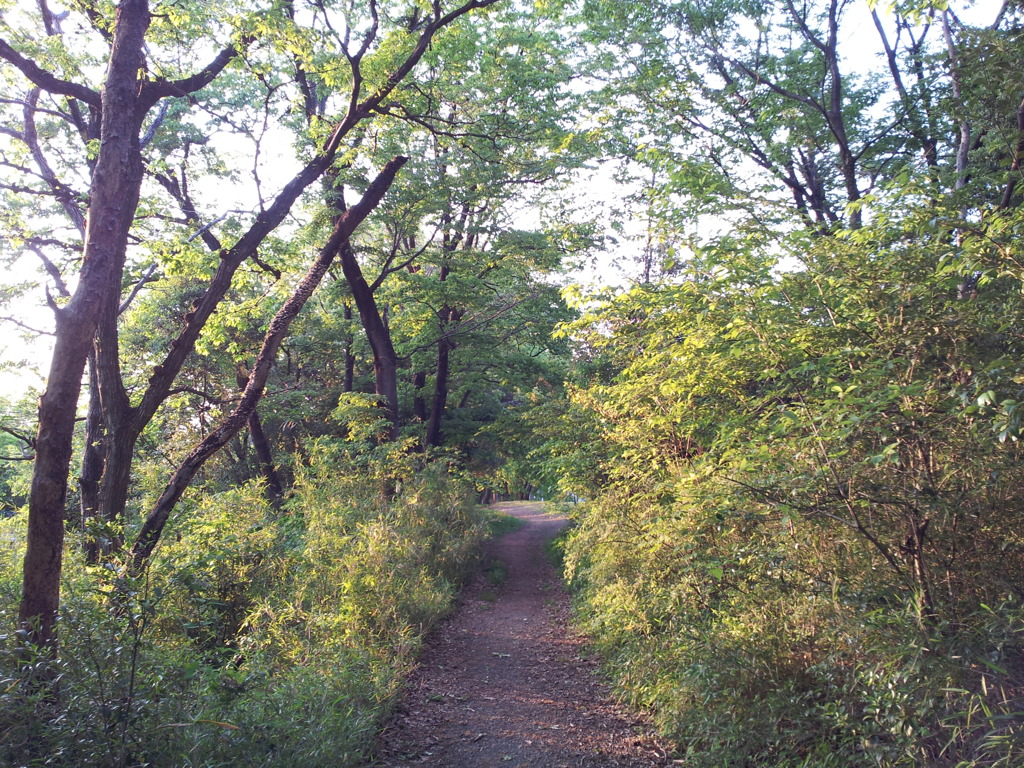 2016/04/30_トロッコ公園の木立ち