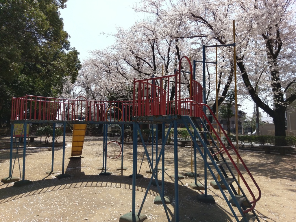 2019/04/06_氷川児童公園の桜