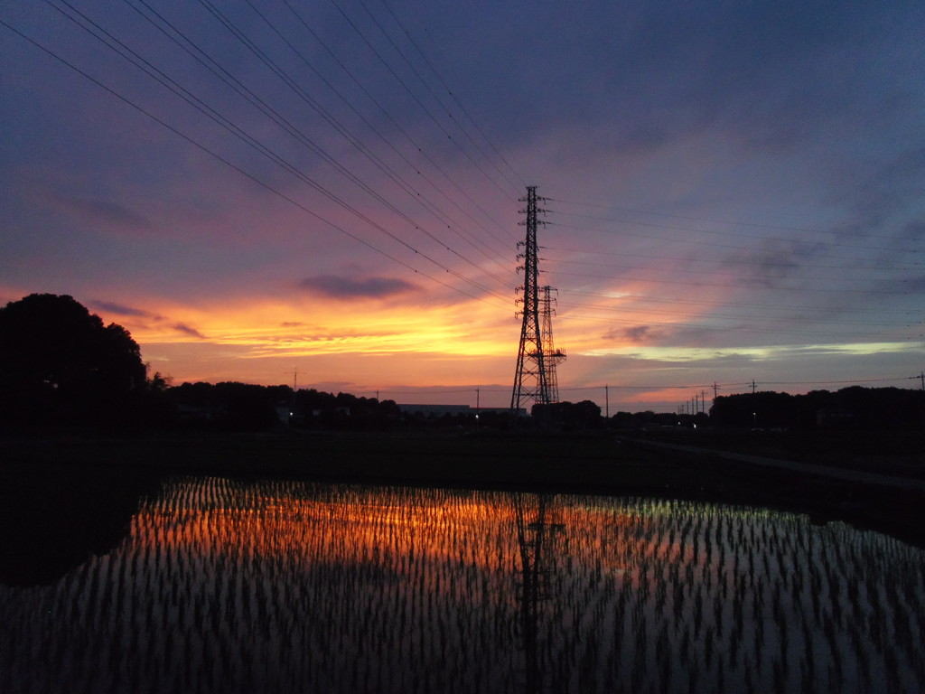 2017/06/25_水田の夕暮れ