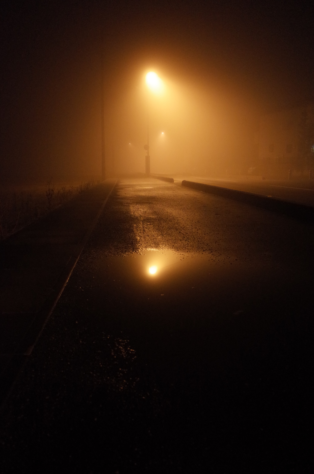 2015/02/08_霧の夜