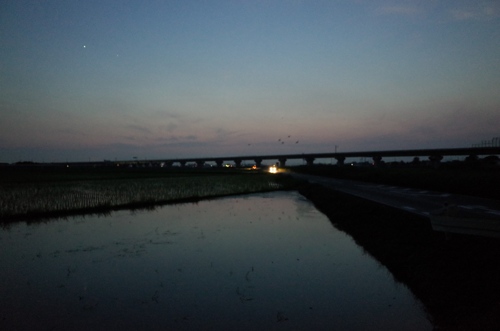 2015/07/11_水田の夕暮れ