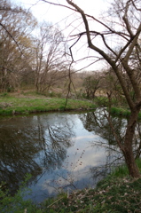 2016/03/26_北本自然観察公園