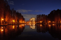2014/12/14_夕暮れの別所沼公園