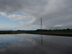 2017/05/14_水田の晴れ間