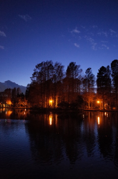 2014/12/14_夕暮れの別所沼公園