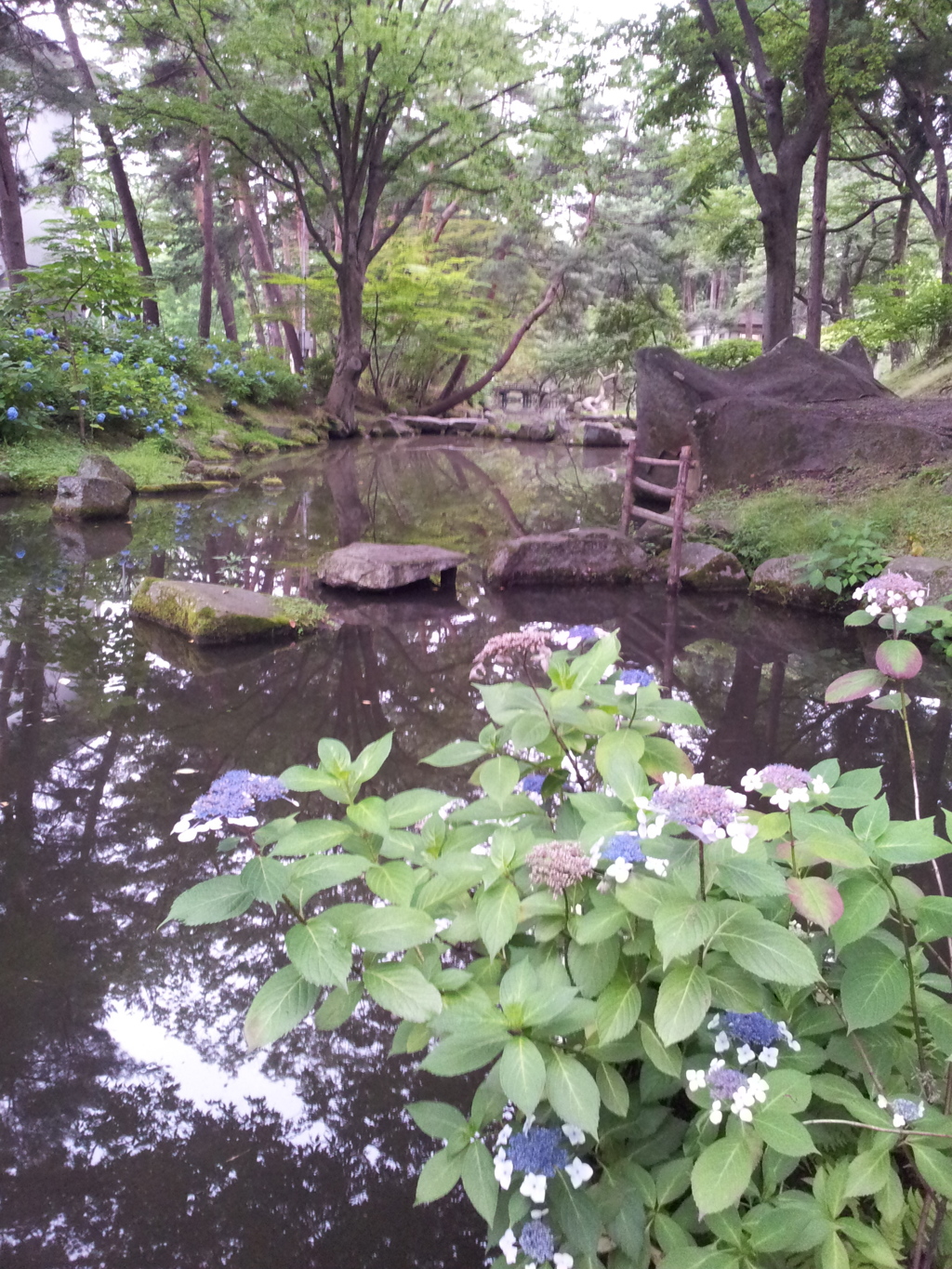 2016/07/16_盛岡城跡公園（岩手公園）鶴ケ池