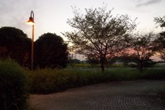 2015/10/03_夕暮れ