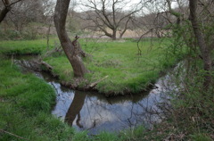 2016/03/26_北本自然観察公園