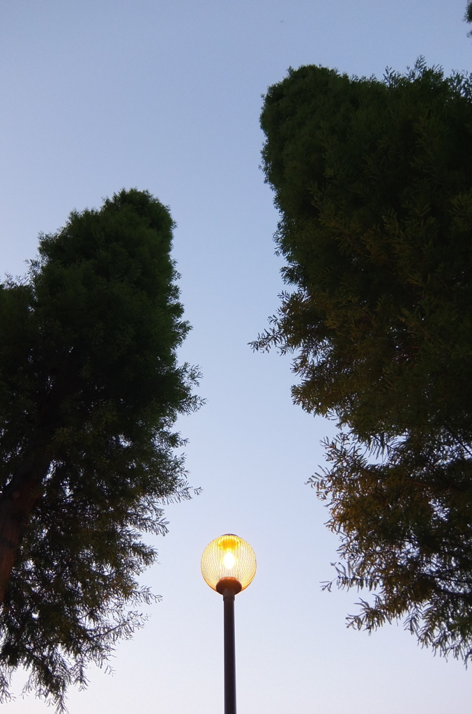 2014/05/31_夕暮れの別所沼公園