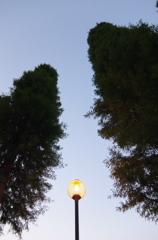 2014/05/31_夕暮れの別所沼公園