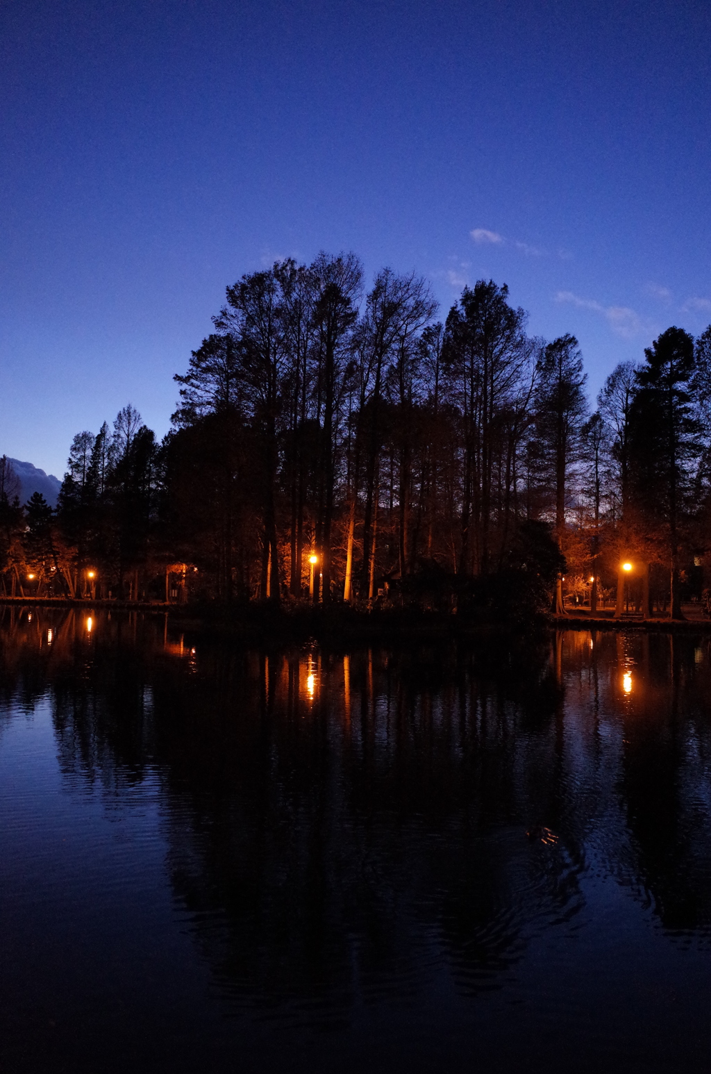 2014/12/14_夕暮れの別所沼公園
