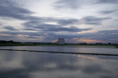 2015/06/21_水田の夕暮れ