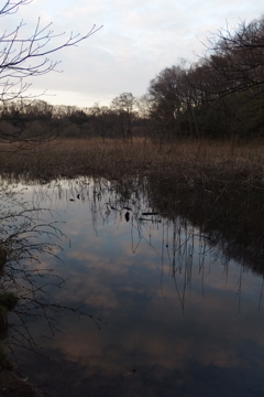 2016/03/26_北本自然観察公園