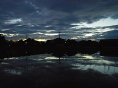 2017/07/01_水田の夕暮れ