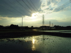 2017/06/10_西日を浴びる水田に雲