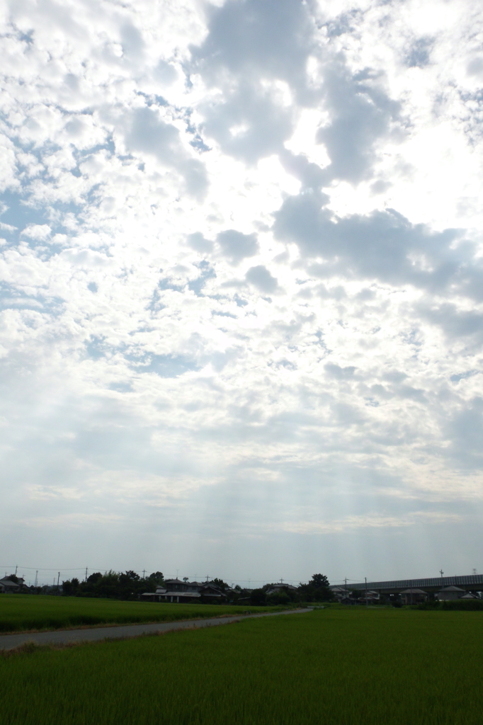 2014/08/02_天使の梯子