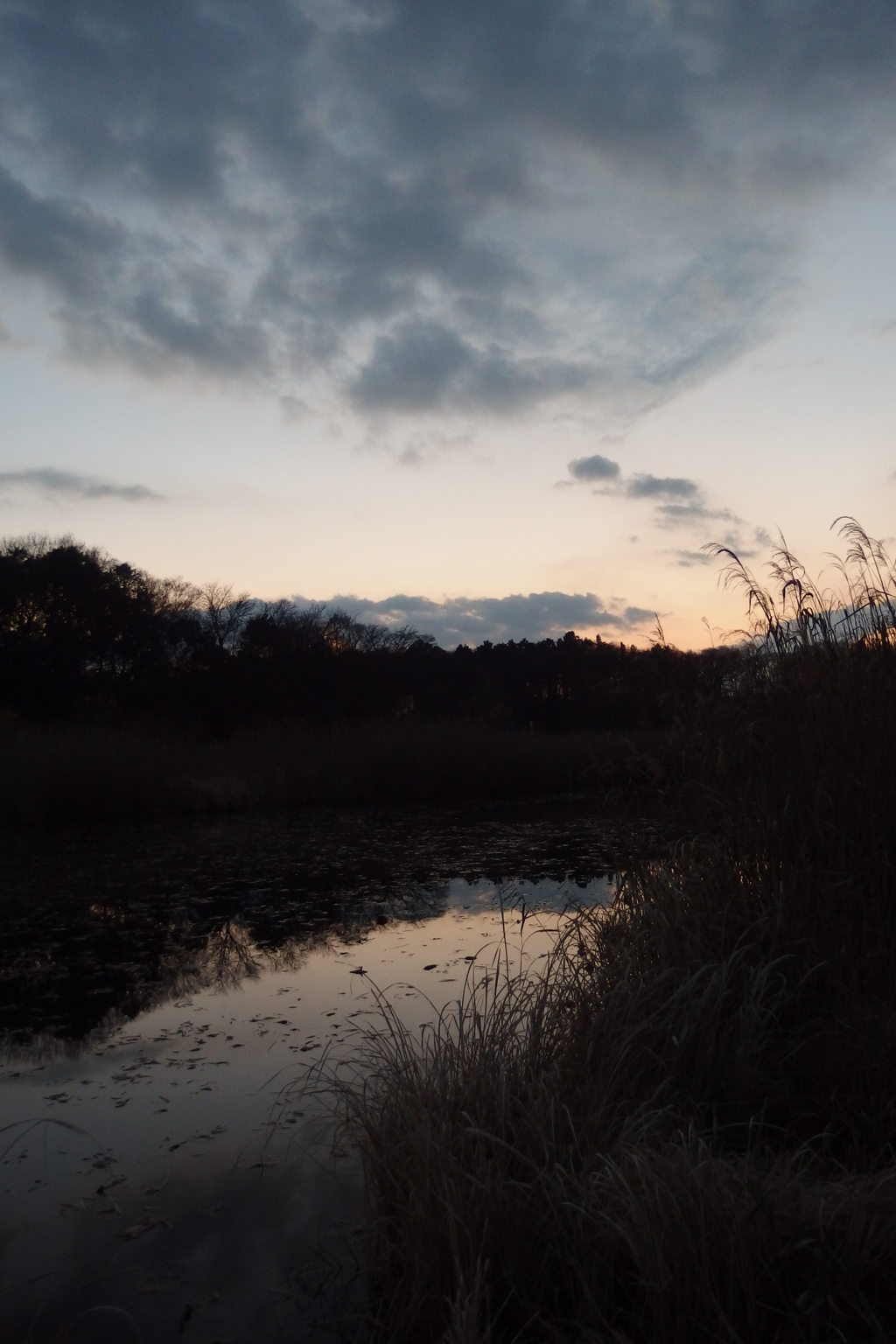 2015/12/31_赤坂沼の夕暮れ