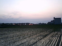 2015/07/11_水田の夕暮れ