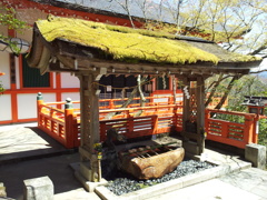 2019/04/13_鞍馬寺 手水舎