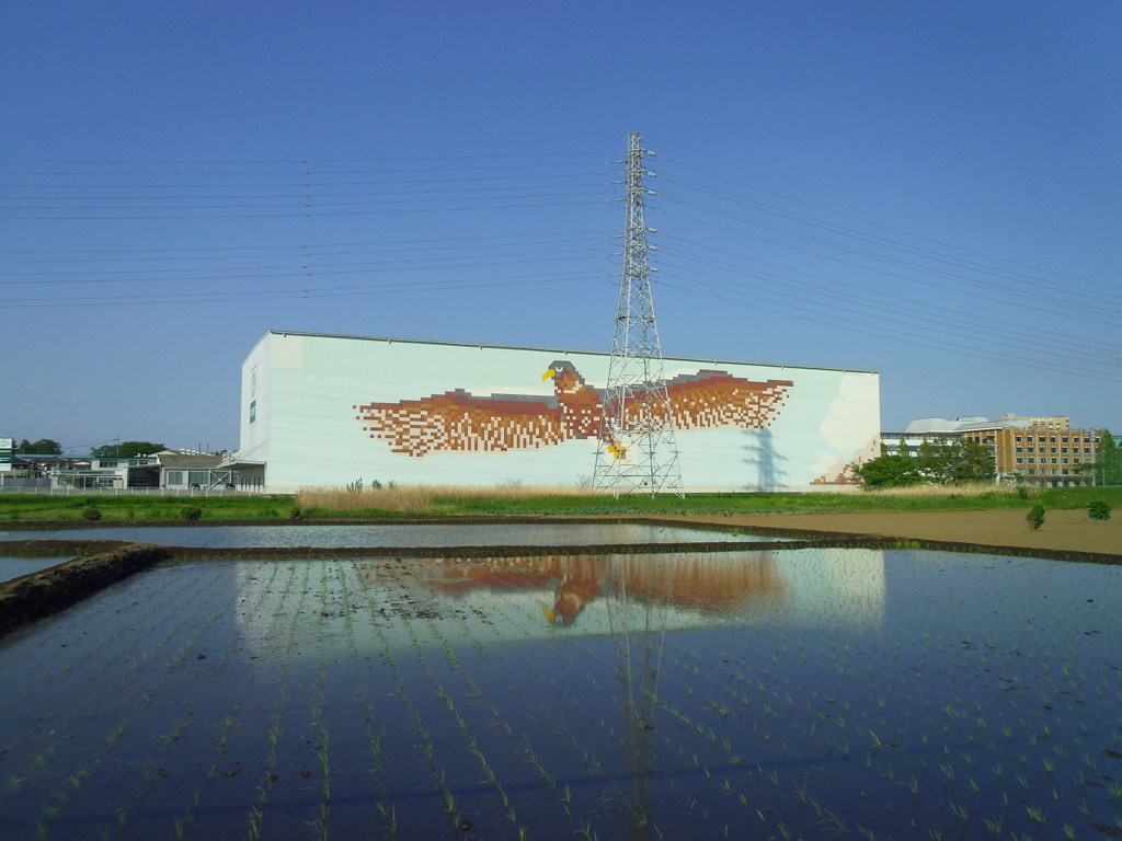 2017/05/05_水田に埼玉トヨペット