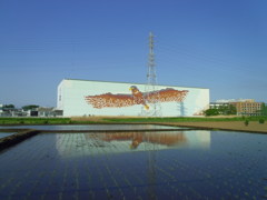 2017/05/05_水田に埼玉トヨペット