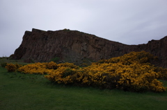 2016/05/20_ソールズベリー・クラッグス ハットンの断面