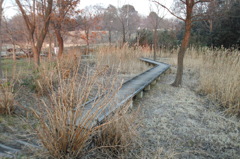 2015/02/11_ホタルの里