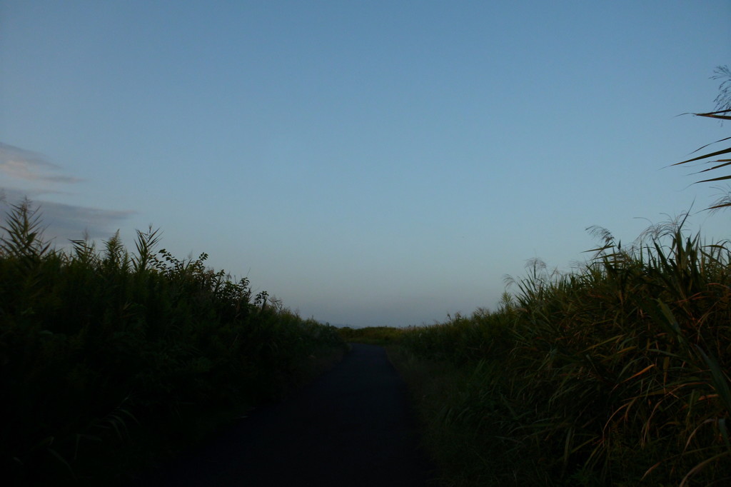 2014/09/28_続く道