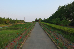 2015/04/25_花の丘農林公苑